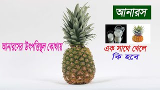 আনারস সম্পর্কে জানা অজানা তথ্য | interesting facts about pineapple | Bivinno Bissoy Totho