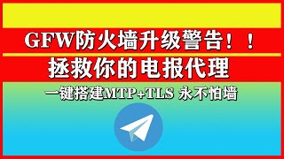 防火墙升级！一键搭建电报Mtproxy+TLS代理，让你的电报永不掉线