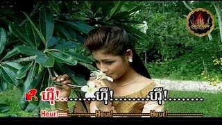 ～🎼🌿🍃🕊 បឋមវ័យស្នេហា / Pak'ThormVeiy Snaeha 🕊🍃🌿🎼～ ដោយ៖ សួស សងវាចា \u0026 ពៅ សុជាតា | SongVeacha+Socheata