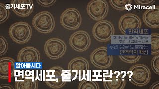 [줄기세포-Stem Cell TV] 면역세포, 줄기세포란 무엇일까요?