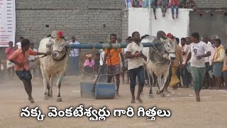 ధర్మవరం ఆరుపళ్ల ||నక్క వెంకటేశ్వర్లు గారు బేస్తవారిపేట మండలం ప్రకాశంజిల్లా వారి గిత్తలు|Ongole Bulls