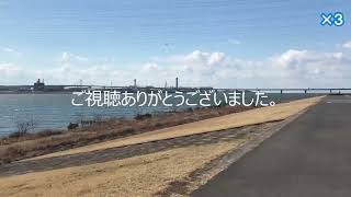 矢倉緑地公園　到達至難　大阪港に面する公園。大阪市の秘境？護岸付近は天然石。それほど広くはなかった。静かな公園だった。20220206　sun