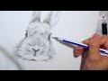 rabbit sketch「 realistic rabbit drawing 」draw a rabbit 兔子素描 手繪畫兔 dessiner un lapin 鉛筆畫