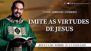 Homilia Diária | Liturgia de Hoje |Palavra do Dia - Padre Adriano Zandoná