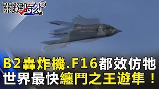 美國B2轟炸機、F16都是效仿牠！世界上速度最快纏鬥之王「遊隼」！關鍵時刻 20180613-2黃世聰