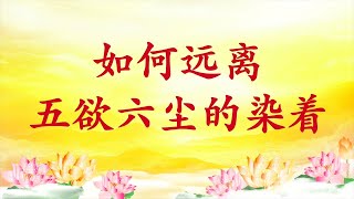 卢台长【节目录音】如何远离五欲六尘的染着