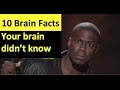 Brain Facts Your Brain Doesn't Know Part 2