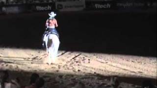 Anky van Grunsven's Reining Freestyle at WEG