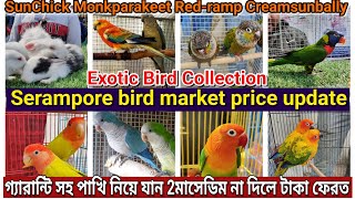 Serampore bird market today price update 💥। Exotic Bird Market। Sun chick, monk parakeet।#serampore