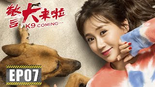 【励志】《警犬来啦 K9 Coming》第07集——华哨救人遭到误解 水落石出成为英雄