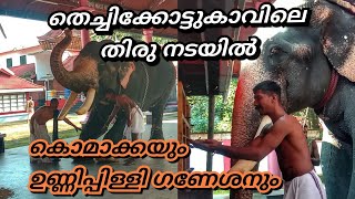 ഉണ്ണിപ്പിള്ളി ഗണേശനും സാരഥിമാരും തെച്ചിക്കോട്ടുകാവിലമ്മയുടെ അനുഗ്രഹം വാങ്ങുവാൻ വന്നത് നോക്കു 🙏