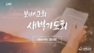 [보배교회] 새벽기도회 실황 | 2025.02.25