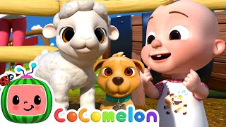 Ol' MacDonald - Baby Animal Version | CoComelon Furry Friends | Animals for Kids