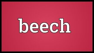 Beech Meaning