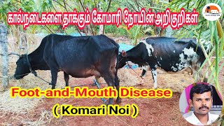 கறவை மாடுகளுக்கு கோமாரி நோய் குணமாக | Foot and Mouth Disease | Komari Noi | Tamil Village 360 | Cow