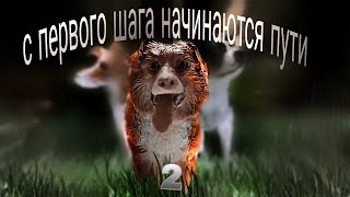  С первого шага начинаются пути   2 серия  || шляйх сериал про собак