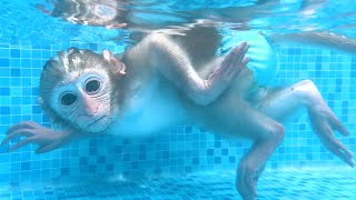 Monkey Baby Bon Bon swims with duckling at the pool and eat fruit ice cream with puppy in the garden