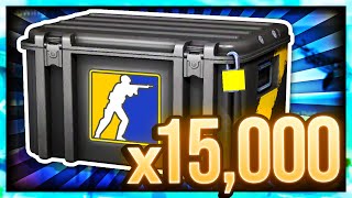 I OPENED 15,000 CASES - HOW MUCH DID I PROFIT?