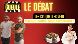 Les croquettes véto sont-elles forcément bonnes pour nos chiens ? - Le DÉBAT