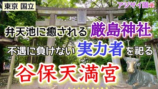 [東京][国立][アジサイ]白いスッポンや鶏が消えた？！「谷保天満宮」〜中央線沿線の神社御朱印巡りにおすすめ！アジサイやカフェもご紹介