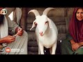 molvi ki bakri ne insani baccha paida kiya bakri ne insani ke bache ko janam diya moral stories