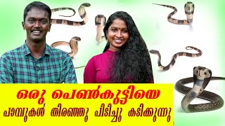 Vava Suresh |ഒരു പെൺകുട്ടിയെ പാമ്പുകൾ തിരഞ്ഞു പിടിച്ചു കടിച്ചത് 12 തവണ |Snake Master |