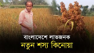 ইউটিউব দেখে নতুন শস্য উৎপাদন করলেন হাতীবান্ধার কৃষক II Agricultural News