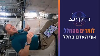 פינת הניסויים - גוף האדם בחלל