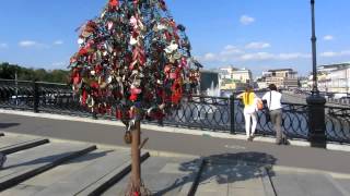 Luzhkov bridge / Лужков мост...Tree of love