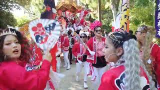 令和6年10月12日　錦織神社宮入　甲田だんじり