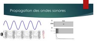 1  Propagation des ondes sonores