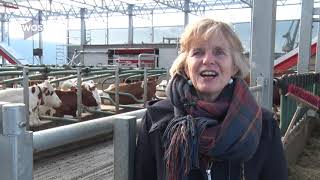 Drijvende boerderij 'Floating Farm' bevalt