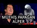 Papağan Alper ve Cuma Kaya | Yetenek Sizsiniz Türkiye Yarı Final