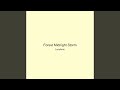 Forest Midnight Storm