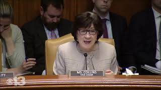 Sen. Collins calls for U.S. to allow asylum seekers to get work permits sooner