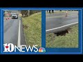 Sinkhole closes part of Central Avenue in North Knoxville