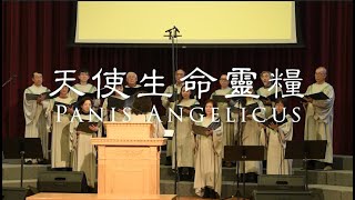 2023-10-22 天使生命靈糧 Panis Angelicus