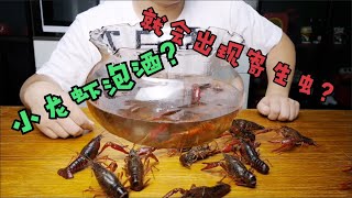 小龙虾在白酒中泡30分钟，就能出现寄生虫？【大白话本人】