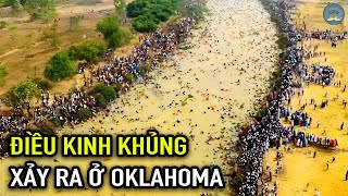 Điều Gì Đã Xảy Ra Ở Oklahoma Đã Khiến Mọi Người Kinh Ngạc? | TUYỆT MẬT TV