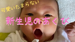 【生後12日目】新生児のあくびが可愛すぎてたまらん❤︎