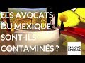 Envoyé spécial. Les avocats mexicains sont-ils contaminés ? 21 sept. 2017 (France 2)