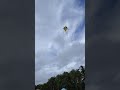 Kite in the sky #kite #kiteflying #kites #kitefestival #kitesurfing #sky #clouds #shortvideo #fly