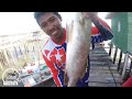 tarikan padu ikan johor port