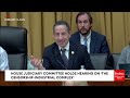 jamie raskin presses witnesses about possible threats to free press by trump and elon musk