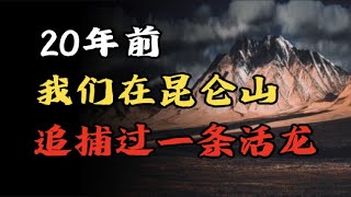 【民间诡话】20年前、我们在昆仑山追捕过一条活龙！