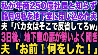 【スカッとする話】私が年商250億社長と知らず臨月の私を地下室に閉じ込めた夫夫「バカ女はそこで反省してろw」3日後、地下室の扉が勢いよく開き夫「お前！何をした！」