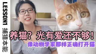 像动物学家那样打开猫 (1)捕猎本能  Pet a cat like a zoologist!  (1)Hunting instinct