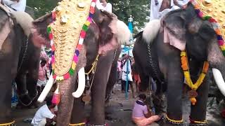 Mini thrissur pooram..Manappullikkavu vela Kudamattom 2020 feb 27