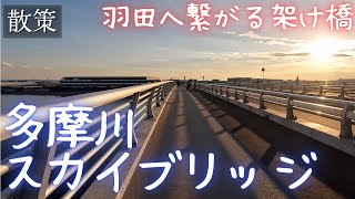 【散策】多摩川スカイブリッジ〜川崎から世界へ繋がる架け橋〜