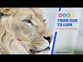 Hugo Beginner Tutorial — #4 Hugo Templating